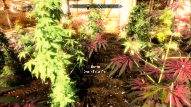 pot paradise in skyrim смотреть онлайн