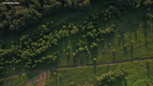 Музыка лечит сердце и сосуды? Успокаивающая музыка восстанавливает нервную систему,расслабляющая #3 смотреть онлайн