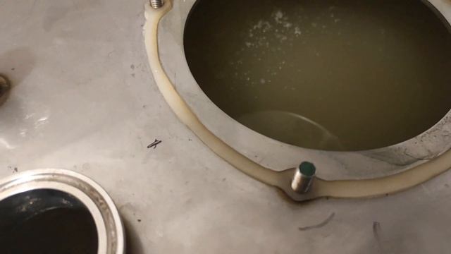 Рис на кодзи смотреть онлайн