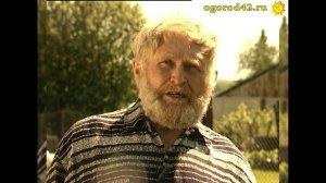 Ранняя посадка картофеля с длинными ростками  - ранний урожай