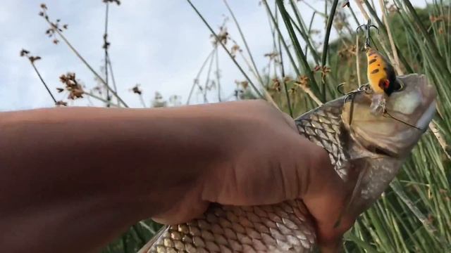 Рыбалка на Угре, Июнь 2018 смотреть онлайн