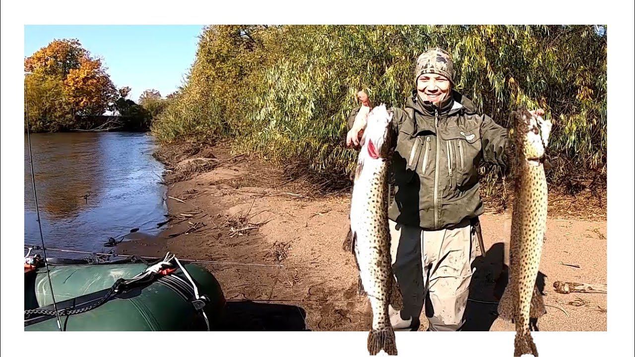 Жор Щуки в Октябре. Где ловить щуку в октябре? смотреть онлайн