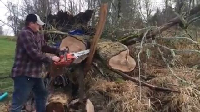 Jared Bargel running a Makita EA5600 смотреть онлайн