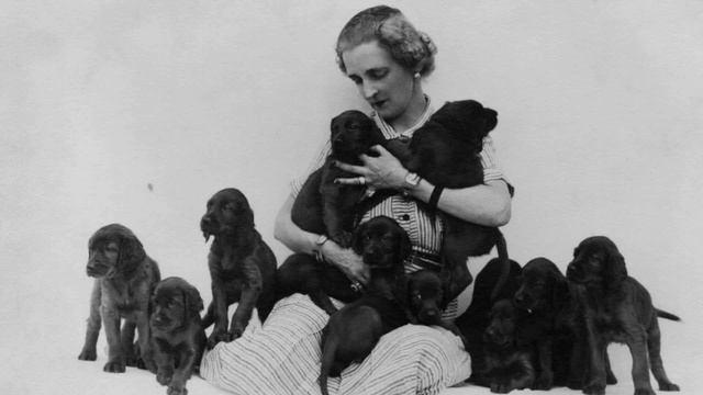 2017-06 A Tour of Rhinebeck Cemetery смотреть онлайн