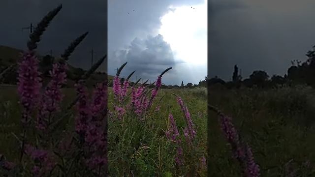 Гроза приближается красиво.mp4 смотреть онлайн