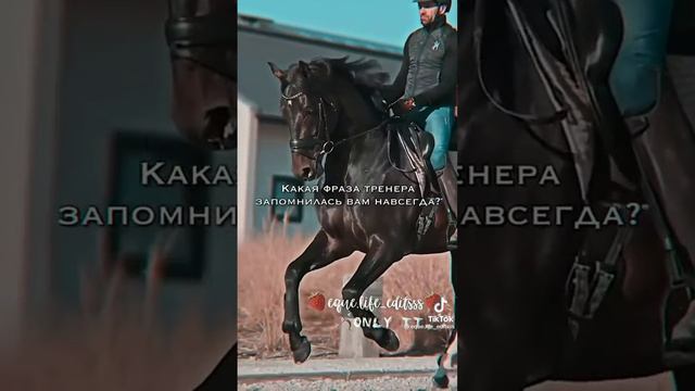 Напиши в комментариях? #shorts#tiktok#love#wow#like#subscribe#shorts#horse#equestrian#video#horses смотреть онлайн