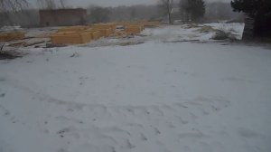 Видео как мы обрабатываем сосновые бревна и тут же собираем срубы из чистого зимнего леса