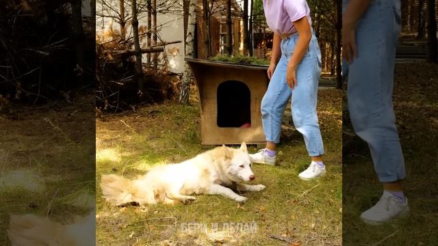 25 НЕВЕРОЯТНЫХ DIY ДЛЯ ДВОРА И САДА смотреть онлайн