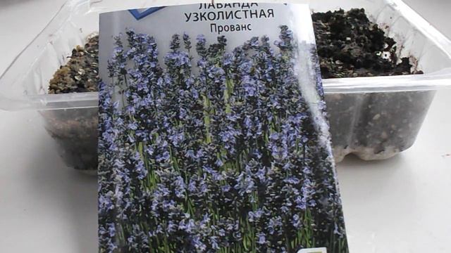 Искусство ухода за домашними растениями