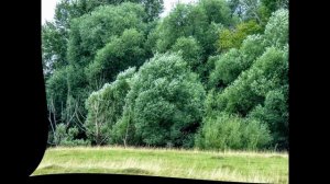 пгт Промышленная, Кемеровская обл.  - просторы, природа