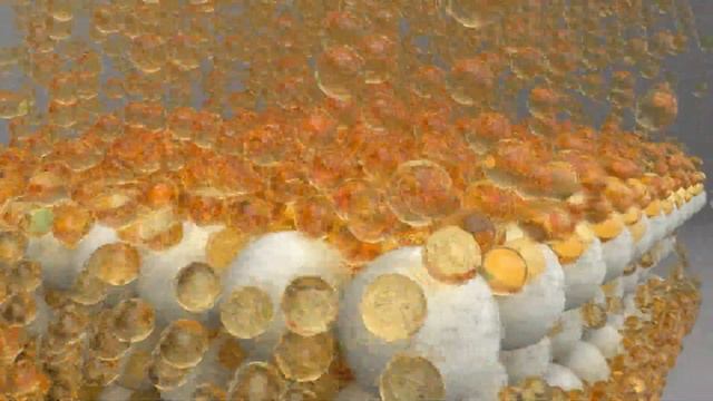 Peneseal FH Application смотреть онлайн