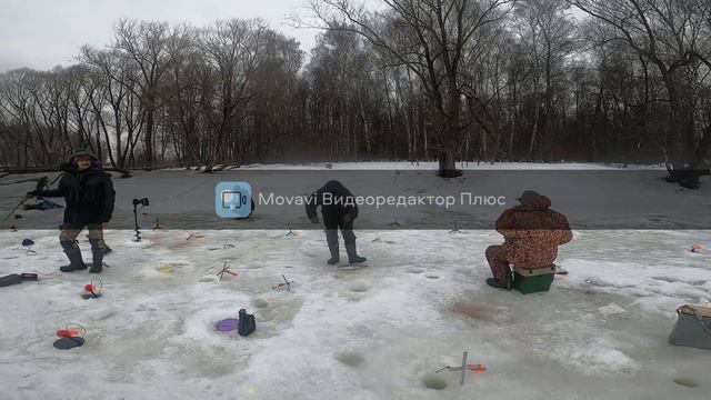 Субботняя рыбалка в парке отдыха "Водопад" смотреть онлайн