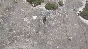 Болгария,Варна.Прогулка по древней неолитической деревни.