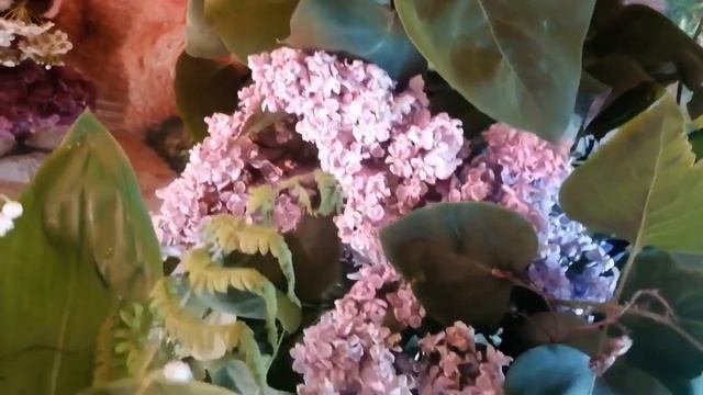 Я Дарю Тебе Букетик! Красивые Цветы смотреть онлайн