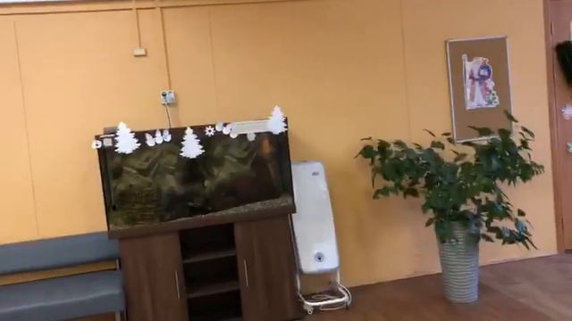 Толстый и тонкий смотреть онлайн