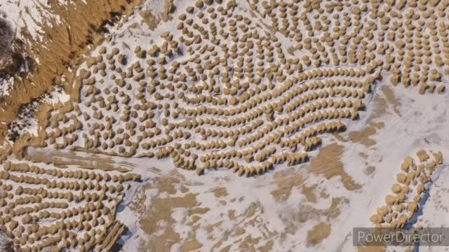 Борницкий карьер зимой