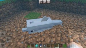 как приручить дельфина