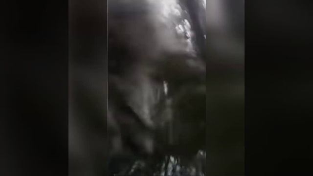 КвИнКа СЛОУ МО В ?ИдИтЕ???#мемы #мем #роблокс #roblox смотреть онлайн