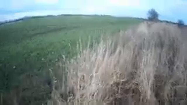 Подготовка щенка Русской пегой гончей к охоте! Первый выход.