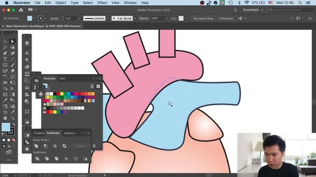 DRAW HEART ANATOMY Medical illustration | Graphical abstract | Scientific illustration смотреть онлайн