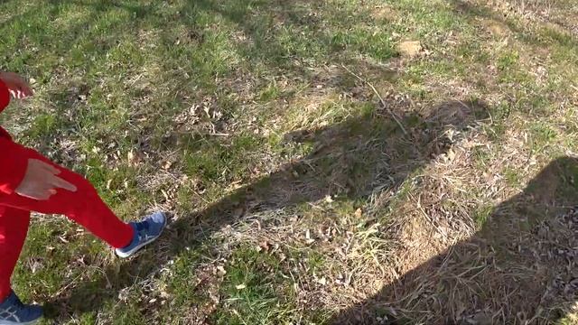 Отдых выходного дня Страусиная ферма Молькино Дантево ущелье смотреть онлайн