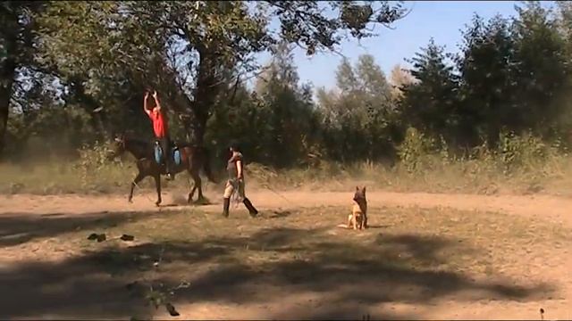 Упорство и труд... главное желание! 2014г.