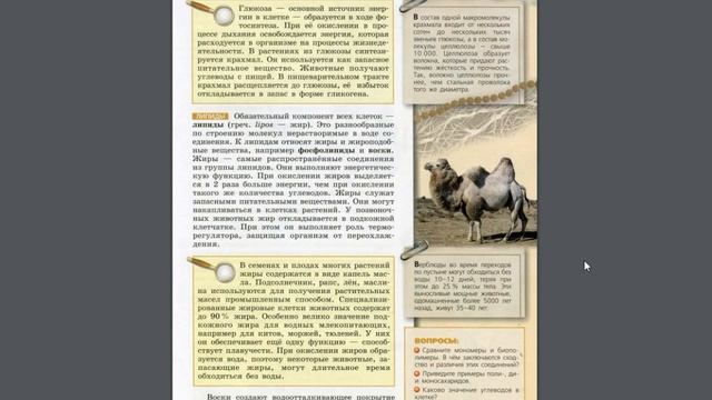 Биология (Л.Н.Сухорукова) 10-11к §3 Органические вещества клетки. Углеводы. Лепиды смотреть онлайн