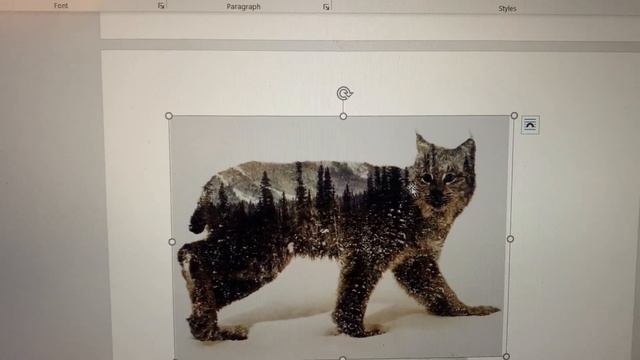 Midterm Photoshop project смотреть онлайн