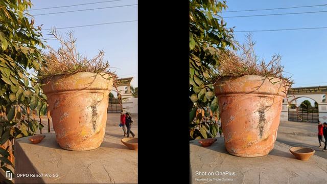 OPPO Reno 7 Pro Vs OnePlus Nord 2 Camera Test & Comparison | Which is The Best..? смотреть онлайн