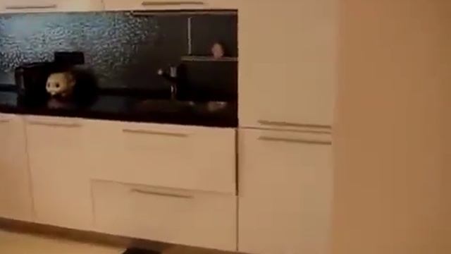 Где купить дом в Евпатории смотреть онлайн