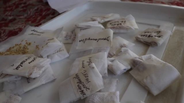 МАРИНОВАННЫЕ АРБУЗЫ на зиму / Рецепт вкусных арбузов в банках без стерилизации! смотреть онлайн