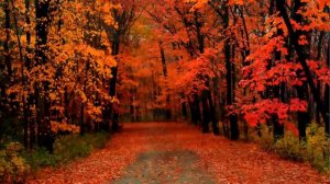 Antonio Vivaldi - The Four Seasons - Autumn