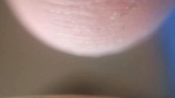 Как сделать микроскоп для телефона. How to make a microscope for the Phone.