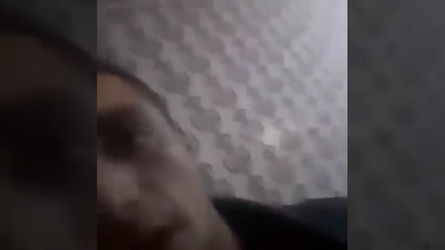 БОЗ ЯК КЕЛИНИ ХОНАРО ШАРМАНДА КАДАН ?? смотреть онлайн