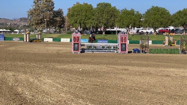 Video 65 смотреть онлайн