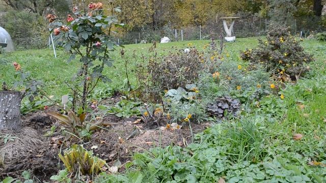 Создала новую клумбу 2021 / Клумба с весны по зиму