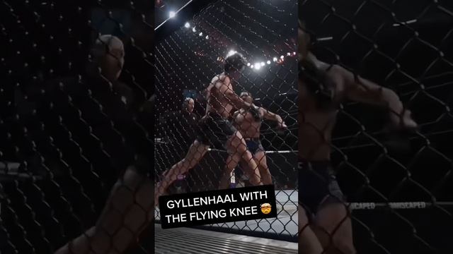 Jake Gyllenhaal's Road House Scene at UFC 285: The Covenant Sneak Peek смотреть онлайн