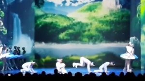 Китайское "Лебединое озеро" в тюменской Филармонии