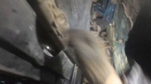 Mazda. 6. Замена помпы.