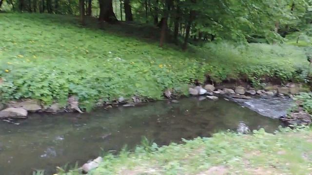 Калининград Königsberg Парковый ручей скоро изменится – 08 смотреть онлайн