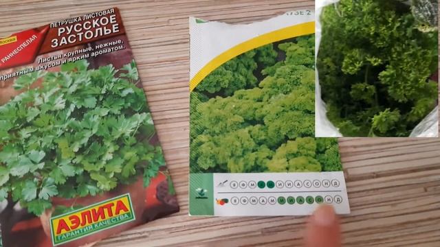 Просроченные семена огурцов, петрушки и кинзы смотреть онлайн