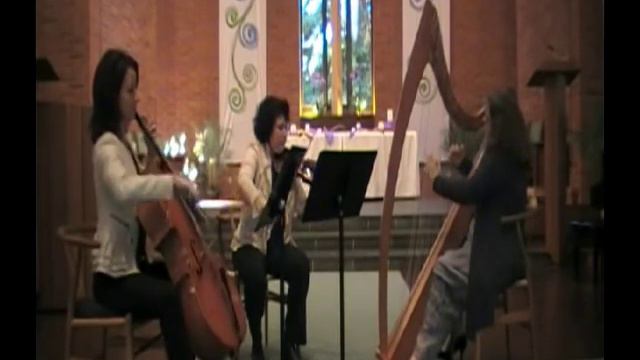 Amethyst Trio - Pachelbel Canon in D - San Francisco смотреть онлайн