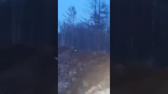 Обосраться... Вдруг откуда не возьмись, появился.... смотреть онлайн