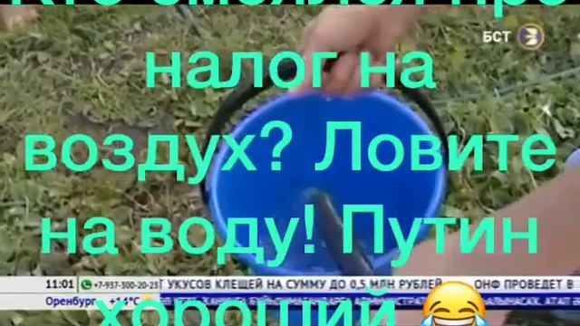 Шарль Перо в русском варианте.. Синьор Помидор не успокаивается.. смотреть онлайн