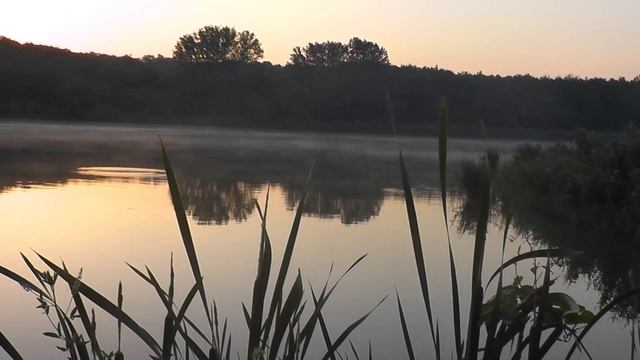 РЫБАЛКА | ИСКРОВКА | КАРАСЬ | ЛЕЩ | СВЯТОЙ ИСТОЧНИК | ВОКРУГ ВОДОЕМОВ смотреть онлайн