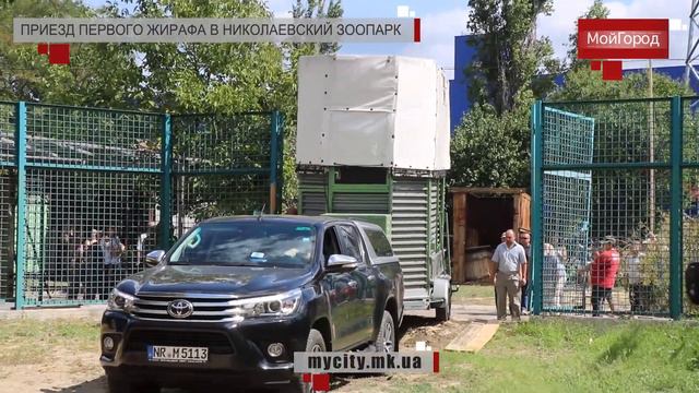 Приезд первого жирафа в Николаевский зоопарк. смотреть онлайн