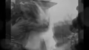 Макка Межиева《Хьо декъала войла》🎶