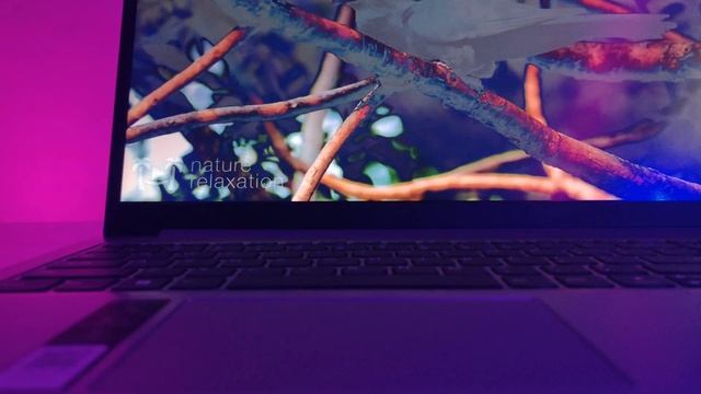 Lenovo IdeaPad Slim 3 Unboxing & Review ?? Ryzen 3 7320u | Best Laptop Under 35000