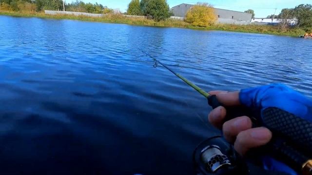 Ловля окуня на микроджиг.Река Мга.Рыбалка Спб и Ленобласть#микроджиг #окунь#fishing#ультралайт смотреть онлайн
