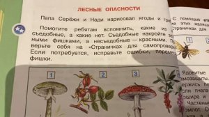 Окружающий мир/2 класс/ часть 2/Плешаков/На Воде и в лесу/03.02.21